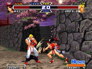 REAL BOUT FATAL FURY SPECIAL - Screenshot 2