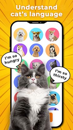 MeowTalk-Cat Translator Prank - Screenshot 1