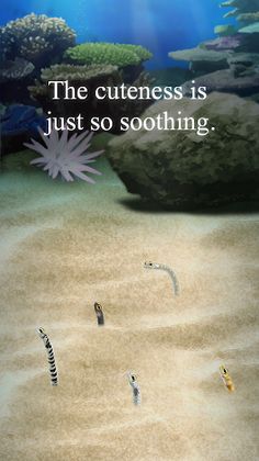 Garden Eel Pet - Screenshot 3