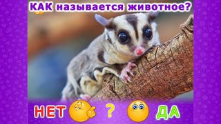 Животные для детей и малышей 2 - Screenshot 3