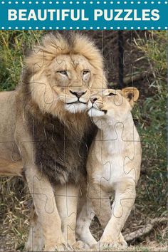 Wild Animals Jigsaw Puzzles - Screenshot 2