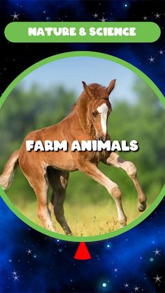 Picture Trivia Crosswords - Screenshot 4