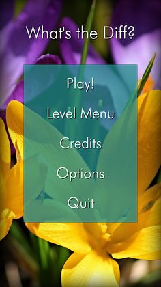 What's the Diff? - Screenshot 1