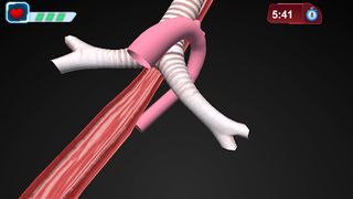 Gamifying Anatomy - Screenshot 2