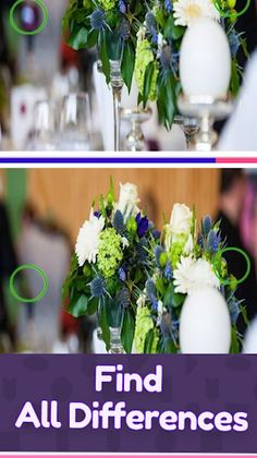 Find the Difference - Screenshot 2