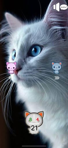 Cat's Nerd - Screenshot 3