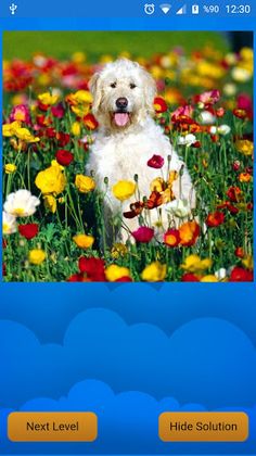 puzzleOyna - Screenshot 3