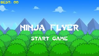 Ninja Flyer - Screenshot 1