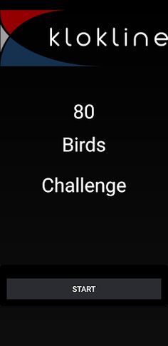 80 Birds Challenge - Screenshot 1