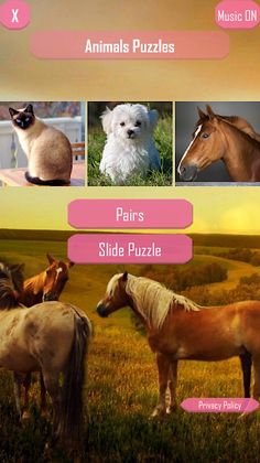 Animals Puzzles - Screenshot 1