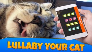 Lullaby Sleep Cat Simulator - Screenshot 1