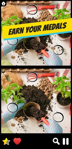 Find the Differences 750+ - Screenshot 3