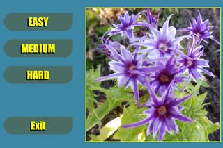 Flower Shuffle - Screenshot 3