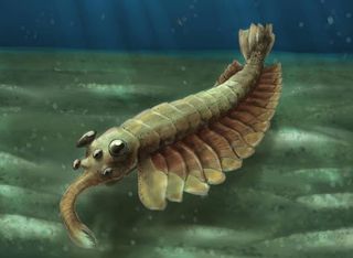 COLLECC - Screenshot 2