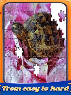 Turtle's Jigsaw Puzzles - Screenshot 1