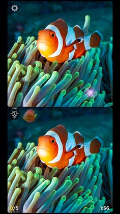 Spot The Difference: Fashion - Screenshot 1