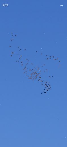 Flocc - Screenshot 3