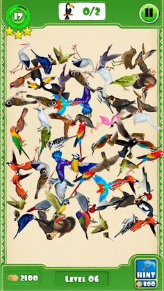 Hidden Pigeon Game Find Birds - Screenshot 4