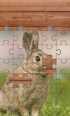 Rabbits Jigsaw Puzzles Games - Screenshot 1