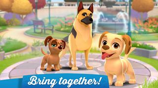 Dogs Home - Screenshot 2