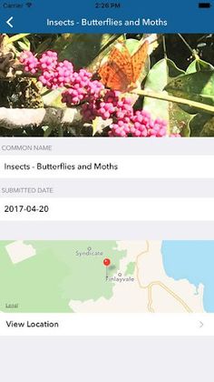 Ranger Vision - Screenshot 3