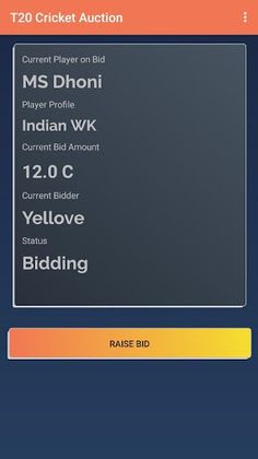 T20 Cricket Auction - Screenshot 3