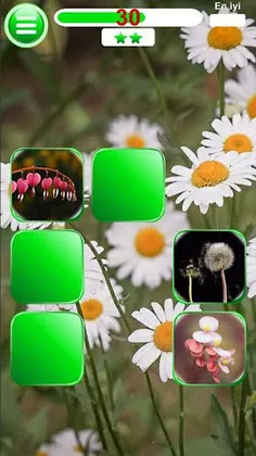 Memory Games - Damla Memory - Screenshot 3