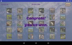 Memory Match - Screenshot 4