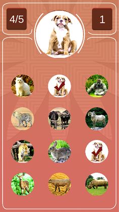 4Housie - Screenshot 4