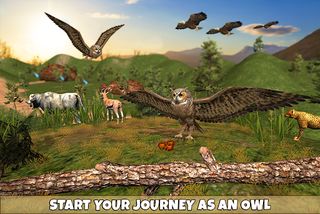 Owl Bird Simulator Birds Game - Screenshot 1