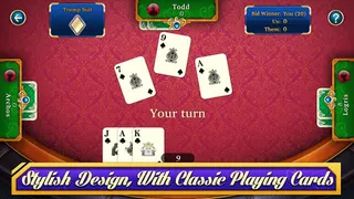 29 Card Game - Screenshot 1