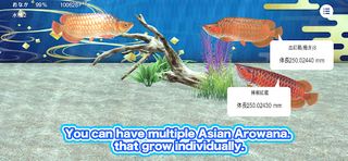 My Asian arowana Aquarium - Screenshot 3