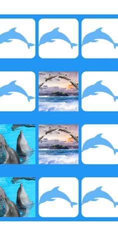Dolphins Memory Game - Screenshot 3