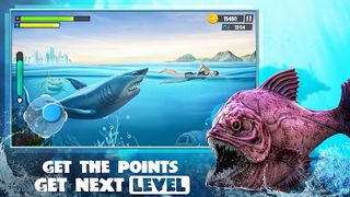 Shark Attack: Hungry Fish Game - Screenshot 1