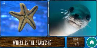 Animal Round - Screenshot 2