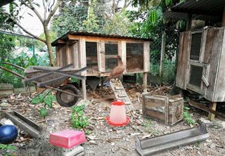 Escape The Realm of Mystery - Screenshot 3