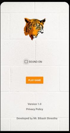 Bagchal - Screenshot 1