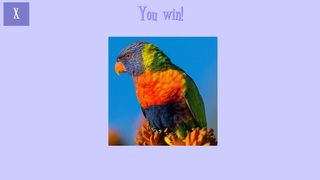 Jigsaw Puzzles: Birds - Screenshot 3