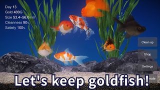 Goldfish 3D Relaxing Aquarium - Screenshot 1