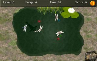 Baby Frogs - Screenshot 1