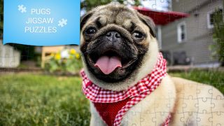 Pugs jigsaw puzzles games - Screenshot 1