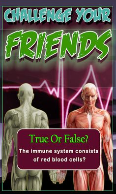 Human Anatomy Education Quiz - Screenshot 2