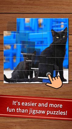 Easy cat puzzle - Screenshot 1