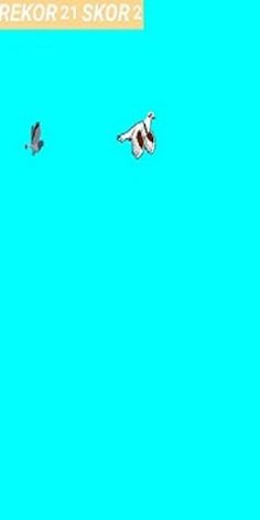 Oyun Kusu - Screenshot 1