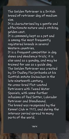 הידעת גזעי כלבים - Screenshot 4