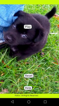 Cubby's Missing Bones - Screenshot 4