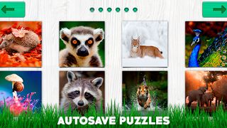 Jigsaw Puzzle Game - Puzzles - Screenshot 3