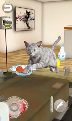Talking Tabby Cat - Screenshot 3