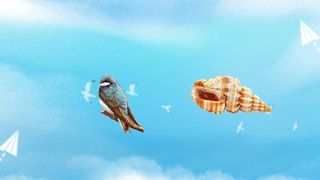 Choose Bird - Screenshot 3