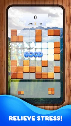 Wood Block Puzzle Game - Screenshot 1